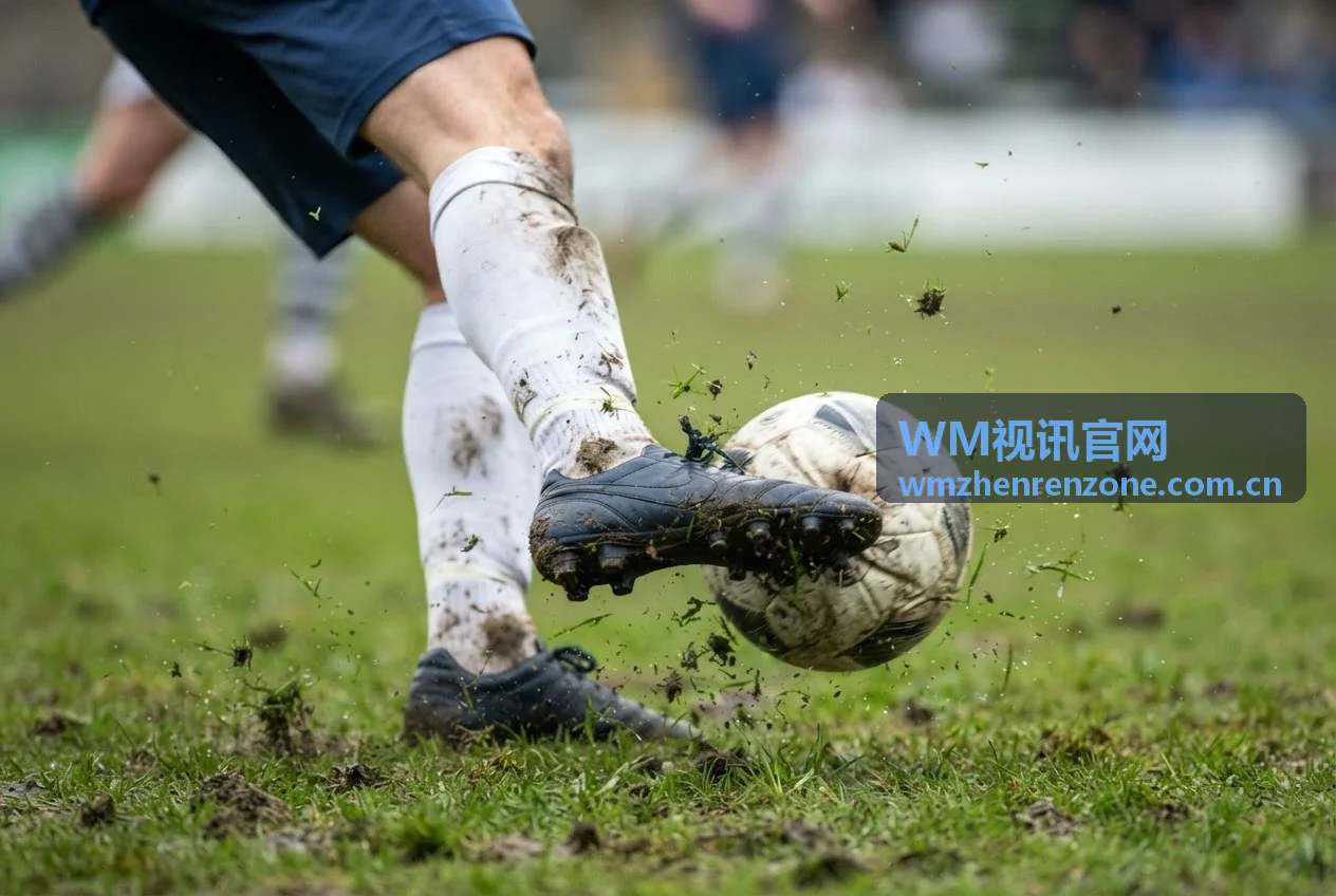 WM视讯官网体育直播高清赛事背景